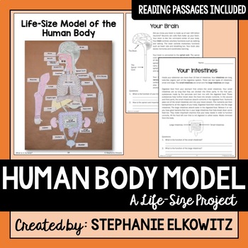Preview of Human Body Model Life Size Project