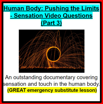 Preview of Human Body: Pushing the Limits - Sensation - GREAT SUB PLANS!
