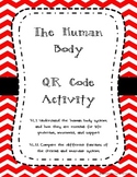 Human Body QR Code Activity