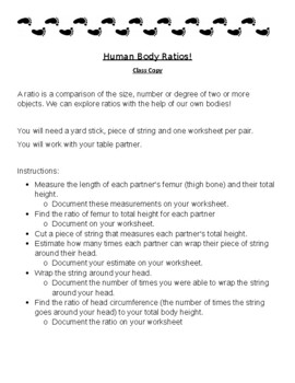 Preview of Human Body Ratios