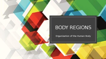 Preview of Human Body Regions Power Point (Anatomy and Physiology, Health Sciences)