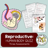 Human Body - Reproductive System Quiz Pack