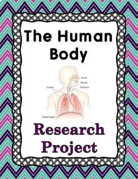 Preview of Human Body Research Project