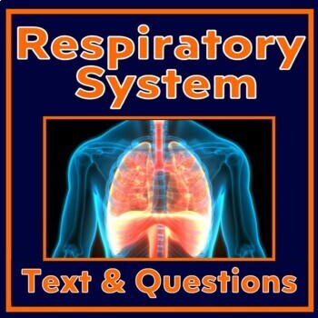 Preview of Human Body Respiratory System Worksheet and Reading with Google Version