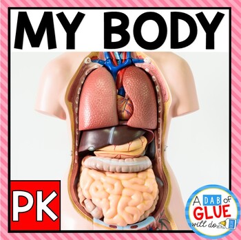 Preview of Human Body Science Unit for Pre-K | Human Body Craft | Body Parts Matching