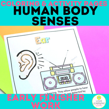 Preview of Human Body Senses Coloring Pages and Activity Worksheets Early Finisher Work