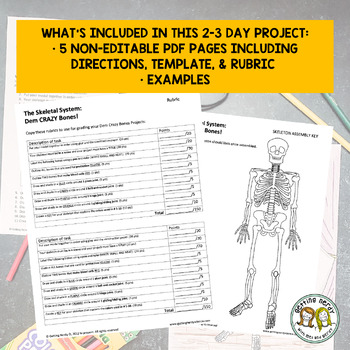 Skeletal System - Skeleton Project - Distance Learning + Digital Lesson