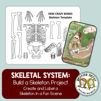 Preview of Skeletal System - Bones of the Skeleton Project