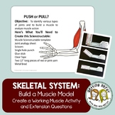 Skeletal and Muscular System - Joint Model - Paper + Digital