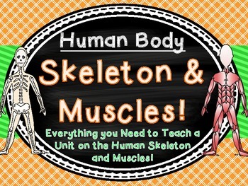 Preview of Human Body Skeleton and Muscles Unit 3 Weeks!