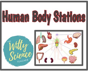 Preview of Human Body Stations