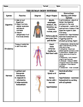 Body Systems Chart Answers
