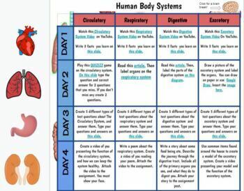 Preview of Human Body System Choice Board (Google Slides editable)