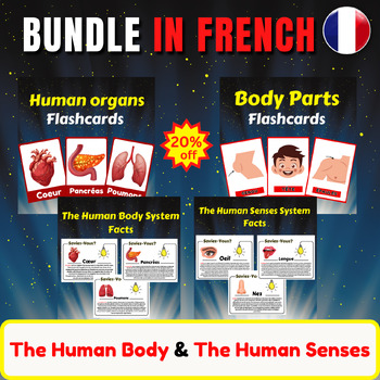 Preview of Human Body System Facts In French. Five Senses/ Body Parts/ Human organs/ Bundle