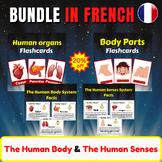 Human Body System Facts In French. Five Senses/ Body Parts