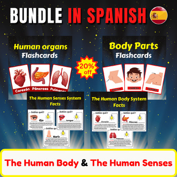 Preview of Human Body System Facts In Spanish. Five Senses/ Body Parts/ Human organs/Bundle