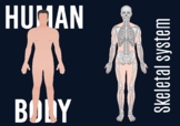 Human Body System Flashcard