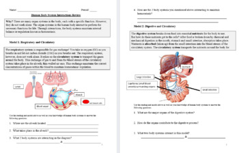 Preview of Human Body System Interactions POGIL