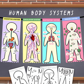 Preview of Human Body System Model Flag [Science+Arts]