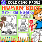 Human Body System Names Science Coloring & Writing Paper E