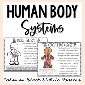 Preview of Human Body Systems Posters
