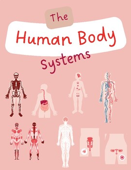Preview of Human Body System Posters | Digital Download | Printables