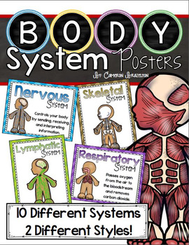 Preview of Human Body Systems Posters Primary