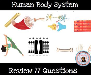 Preview of Human Body System Review HOSA principles of biomedical science