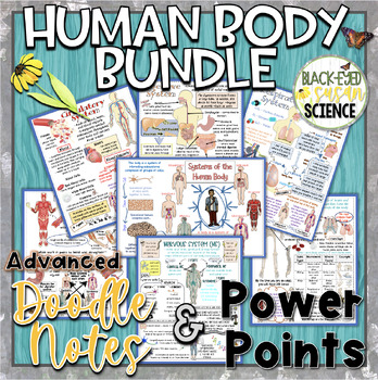 Preview of Human Body Systems Doodle Notes & Quizzes Bundle w/PowerPoints