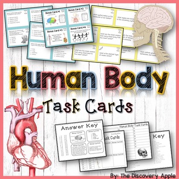 Preview of Human Body Systems Task Cards: 2 Sets for Differentiated Learning + Bonus Cards