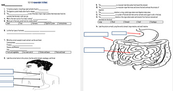 Preview of Human Body System Test 4 Grade Science ELD Adapted Study Guide Advanced Diagram