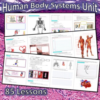 Preview of Anatomy Unit, Human Body Systems and Health Topics Unit