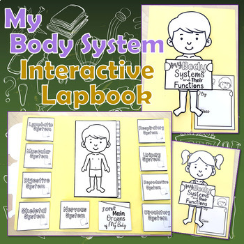 Preview of Human Body System and Some Main Organs Lapbook