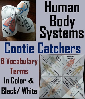 Preview of The Human Body Systems Activity (Cootie Catcher Foldable Anatomy Review Game)