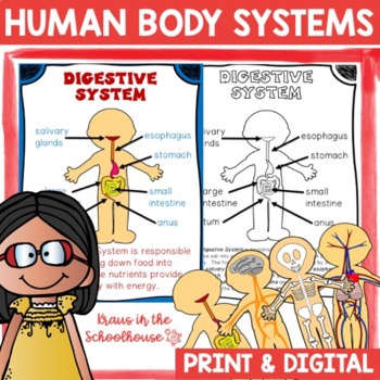 Human Body Systems | Easel Activity Distance Learning | TPT
