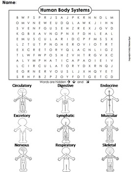 Human Body Systems Word Search/ Coloring Sheet by Science Spot | TpT