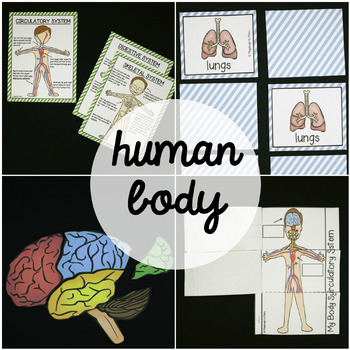 Preview of Human Body Systems