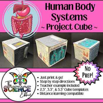 Human Body Systems Project- Recycle Model