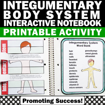Preview of Integumentary System Human Body Systems Project 5th Science Interactive Notebook
