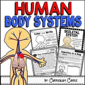 Preview of Human Body Systems Activities