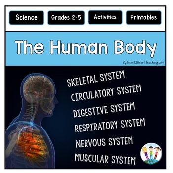 Preview of Human Body Systems Worksheets Activities Bundle Reading Passages Project Posters