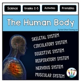 Human Body Systems Worksheets Activities Bundle Reading Pa