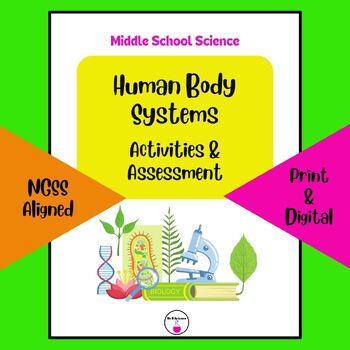 Preview of Human Body Systems Activities and Assessment (Digital and Print)