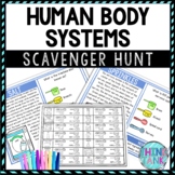 Human Body Systems Activity - Scavenger Hunt Challenge - Biology