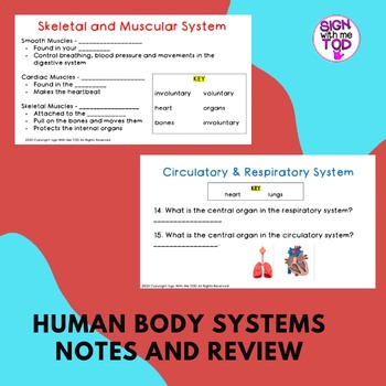 Preview of Human Body Systems Unit Bundle -  Adapted Notes and Review