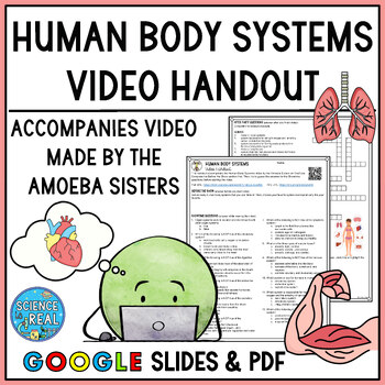 Preview of Human Body Systems Amoeba Sisters Video Handout