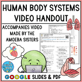 Human Body Systems Amoeba Sisters Video Handout
