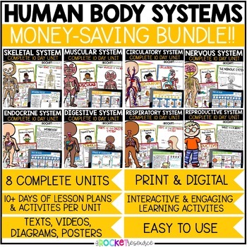 Preview of Human Body Systems BIG BUNDLE | Fun Human Body Activities