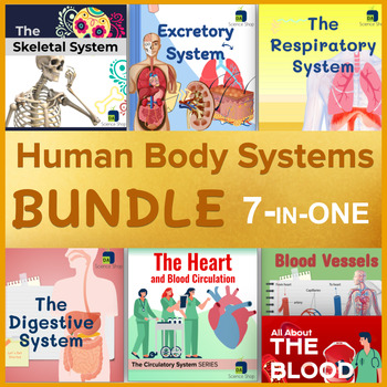 Preview of Human Body Systems BUNDLE