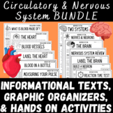 Human Body Systems BUNDLE Circulatory System and Nervous System